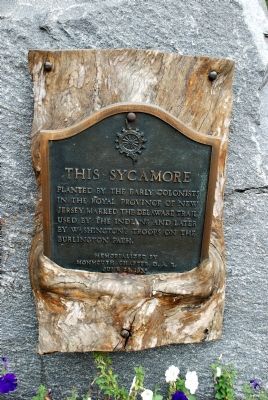 This Sycamore Marker image. Click for full size.