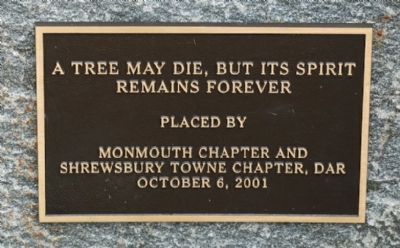 A Tree May Die, But Its Spirit Remains Forever image. Click for full size.