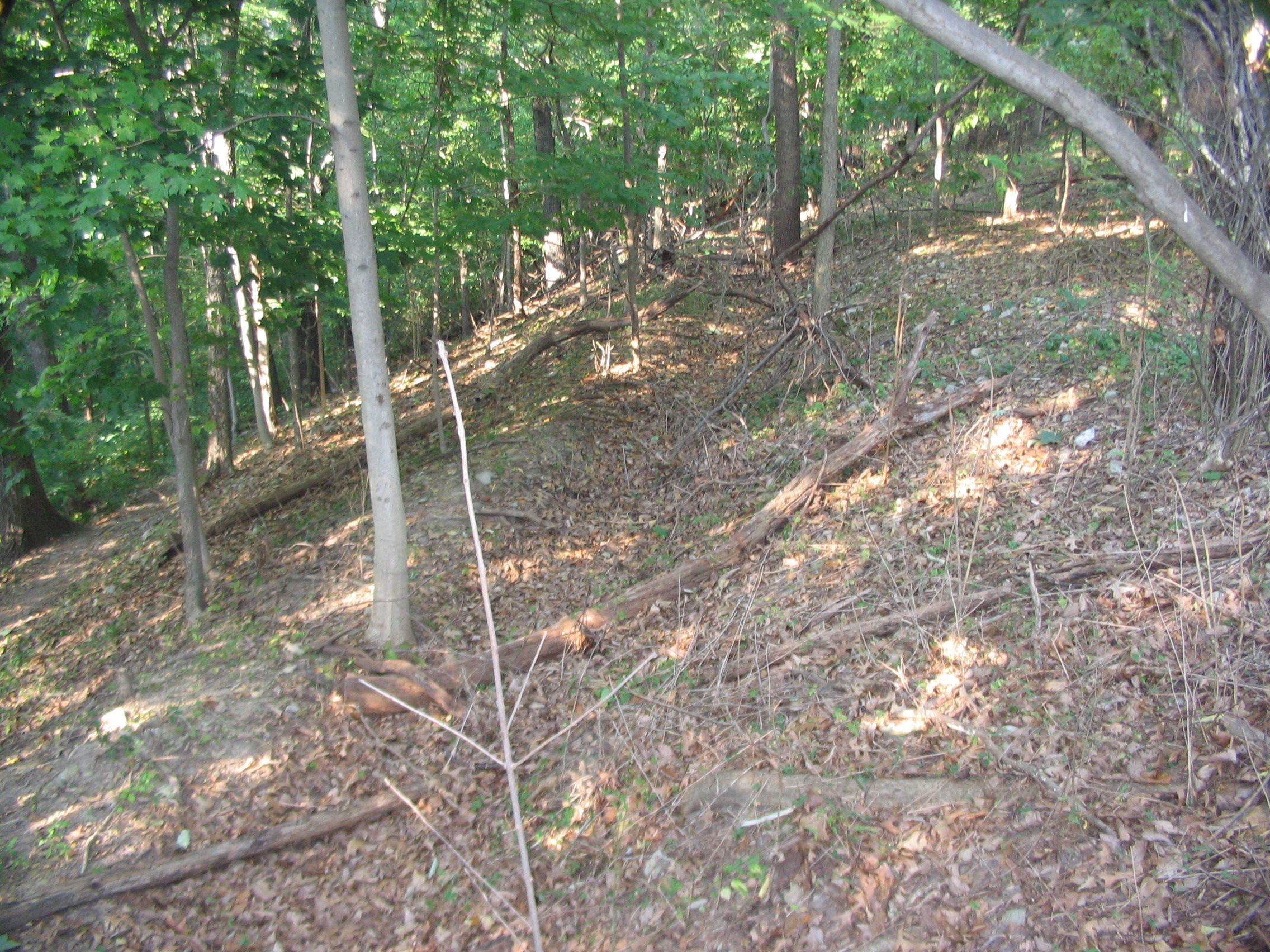 Section of the Trenches on Bolivar Heights
