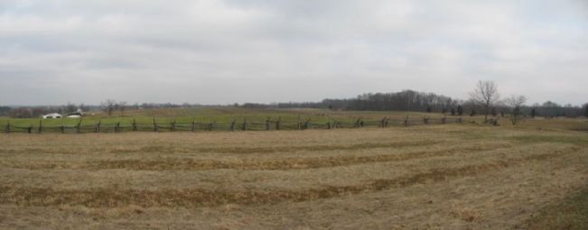 D.R. Miller's Cornfield. Click for full size. D.R. Miller's Cornfield image. Click for full size.