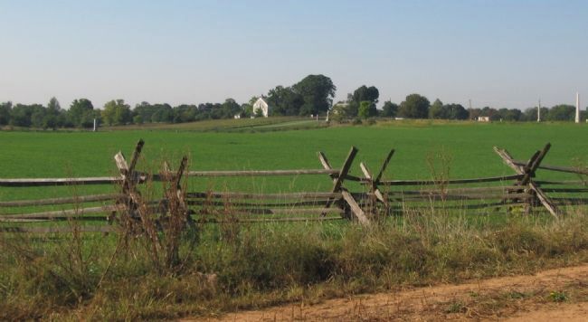 North Edge of Cornfield. Click for full size. North Edge of Cornfield image. Click for full size.