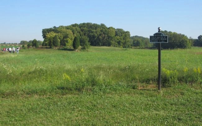 The East End of the Cornfield and East Woods. Click for full size. The East End of the Cornfield and East Woods image. Click for full size.