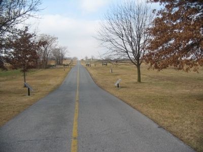 Cornfield Avenue Looking West. Click for full size. Cornfield Avenue Looking West image. Click for full size.
