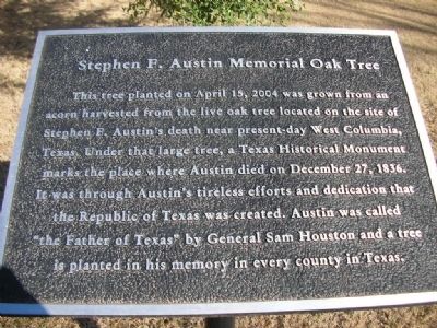 Stephen F. Austin Memorial Oak Tree Marker image. Click for full size.