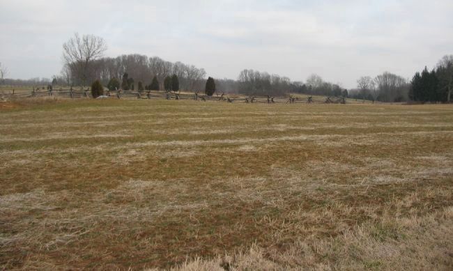 East Half of the Cornfield image. Click for full size.