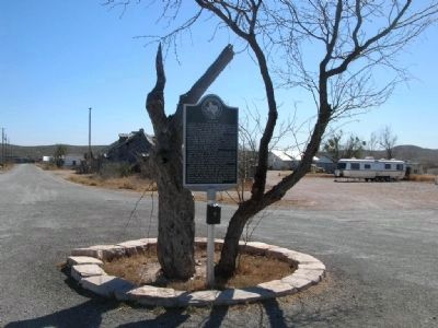 "Hangin' Tree" and Marker. Click for full size. "Hangin' Tree" and Marker image. Click for full size.