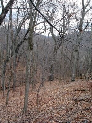 Another view down the ravine image. Click for full size.