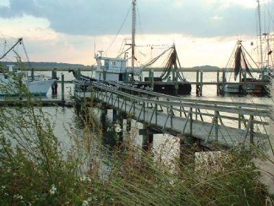 Shrimp boats. Click for full size. Shrimp boats image. Click for full size.