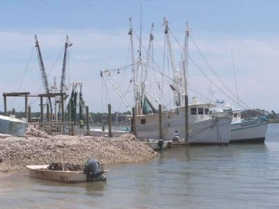 Shrimping is a big local industry. Click for full size. Shrimping is a big local industry image. Click for full size.