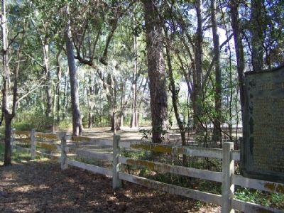 Rural Area of Capture site, now private property. Click for full size. Rural Area of Capture site, now private property image. Click for full size.