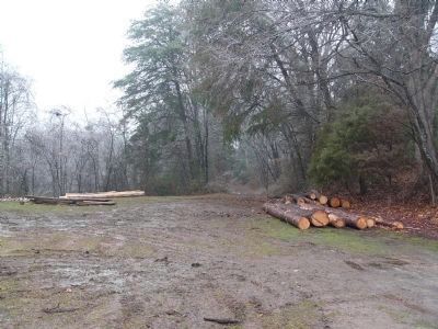 The Old Potomac Path </b>resumes just past the logs seen here. image. Click for full size.