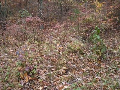 Confederate earthworks image. Click for full size.