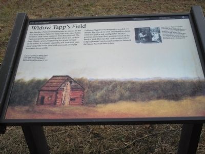 Widow Tapps Field. Click for full size. Widow Tapps Field image. Click for full size.