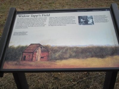 Widow Tapps Field image. Click for full size.