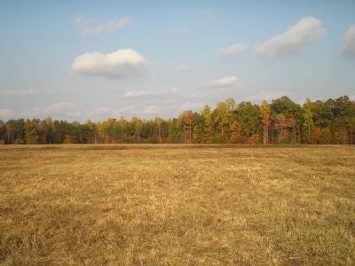 Widow Tapp Field. Click for full size. Widow Tapp Field image. Click for full size.