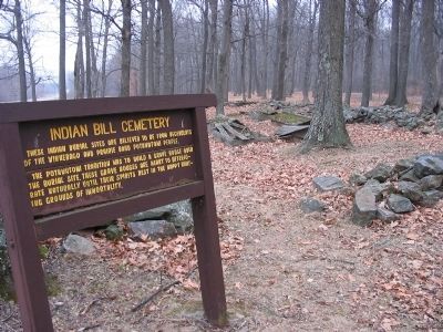Indian Bill Cemetery. Click for full size. Indian Bill Cemetery image. Click for full size.