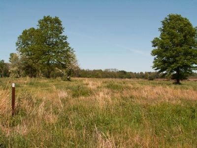 Monmouth Battlefield. Click for full size. Monmouth Battlefield image. Click for full size.
