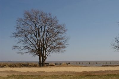 View across the bay from Twin Oaks. Click for full size. View across the bay from Twin Oaks image. Click for full size.