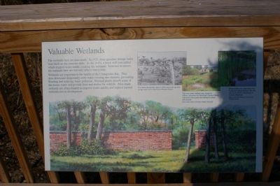 Valuable Wetlands Marker image. Click for full size.