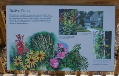 Native Plants Marker image. Click for full size.