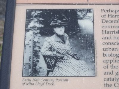Early 20th Century Portrait of Mira Lloyd Dock image. Click for full size.