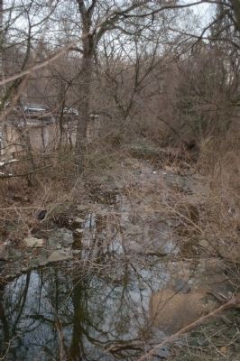 Gwynns Falls tributary. Click for full size. Gwynns Falls tributary image. Click for full size.