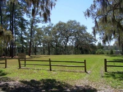 Old House Plantation Grounds as seen today image. Click for full size.
