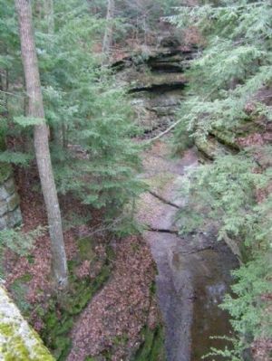 Turkey Run from the rim trail image. Click for full size.