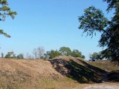 Earthworks, the Remains of Fort Anderson at Brunswick Town Historic Site image. Click for full size.