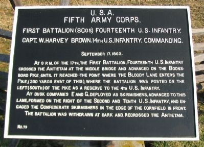14th U.S. Infantry Tablet image. Click for full size.