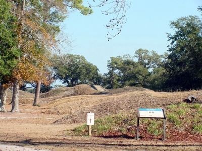 Marker and Some of the Earthworks image. Click for full size.