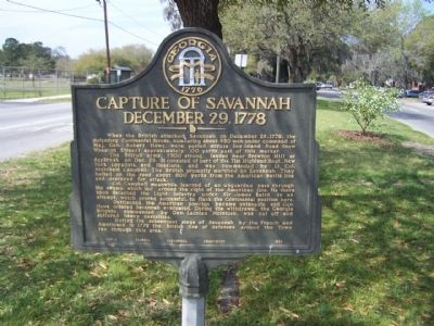Capture of Savannah Marker image. Click for full size.