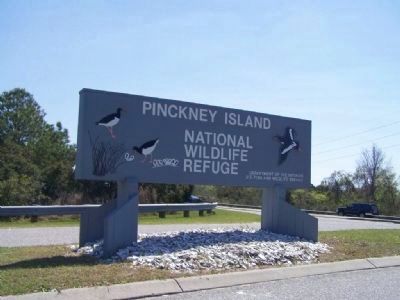 Pinckney Island. Click for full size. Pinckney Island image. Click for full size.