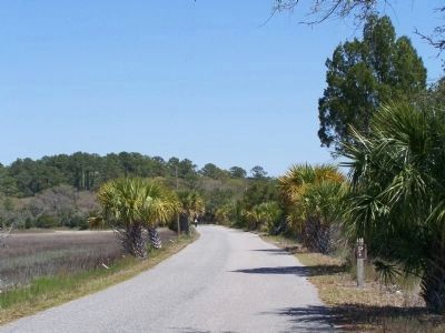 Pinckney Island Drive. Click for full size. Pinckney Island Drive image. Click for full size.