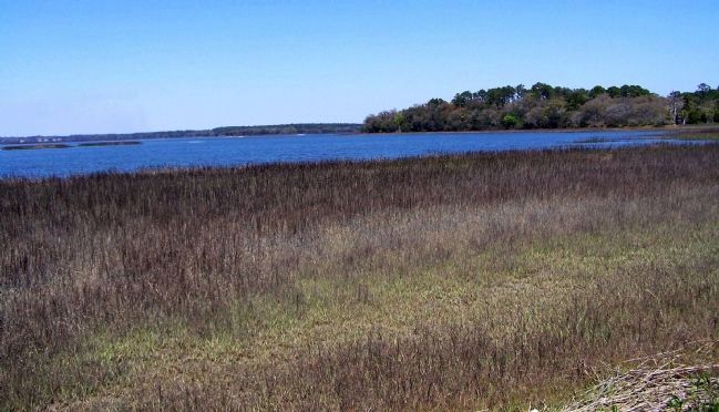 Pinckney Island Landscape. Click for full size. Pinckney Island Landscape image. Click for full size.