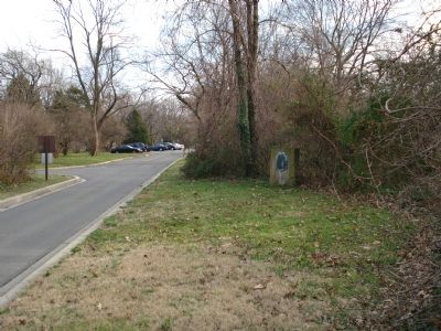 These Trees Marker. Click for full size. These Trees Marker image. Click for full size.
