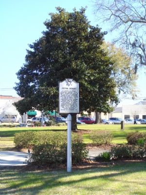 Peter Horry / Horry County Marker image. Click for full size.
