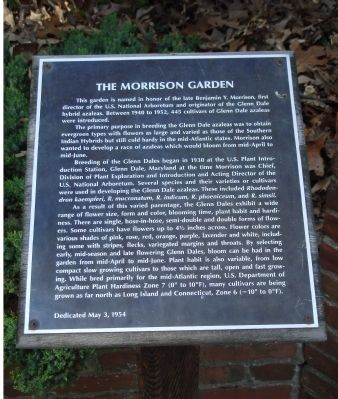 About the Morrison Garden image. Click for full size.