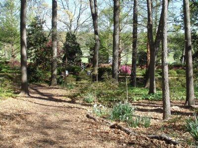 View From the Woods: The Morrison Garden image. Click for full size.