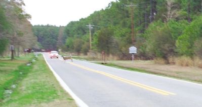 Beware of the Deer. Click for full size. Beware of the Deer image. Click for full size.