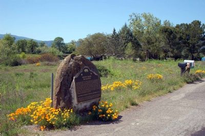 Marker with California poppies blooming in the spring time image. Click for full size.