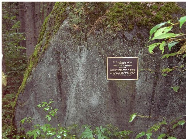 Boulder with marker. image. Click for full size.