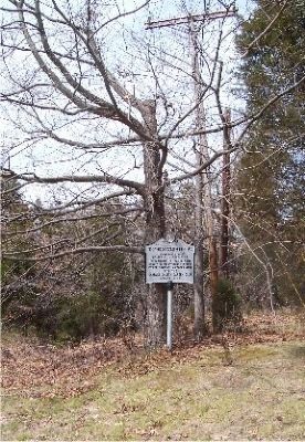 The marker and an oak tree. image. Click for full size.