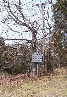 The marker and an oak tree.. Click for full size. The marker and an oak tree. image. Click for full size.