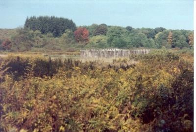 Fort Necessity in Big Meadows. image. Click for full size.