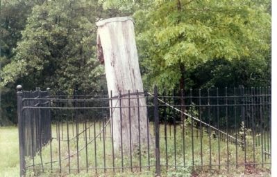 The Tree Gen. A.S. Johnston died under. Click for full size. The Tree Gen. A.S. Johnston died under image. Click for full size.