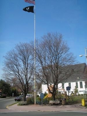 Liberty Pole image. Click for full size.
