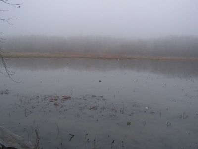 Portion of the Lake at the park entrance. image. Click for full size.