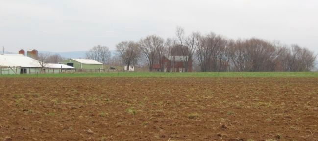 The George Line Farm Today image. Click for full size.