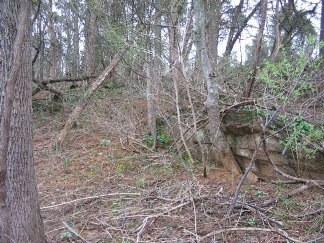 Rock Outcroppings and Ledge in the West Woods. Click for full size. Rock Outcroppings and Ledge in the West Woods image. Click for full size.